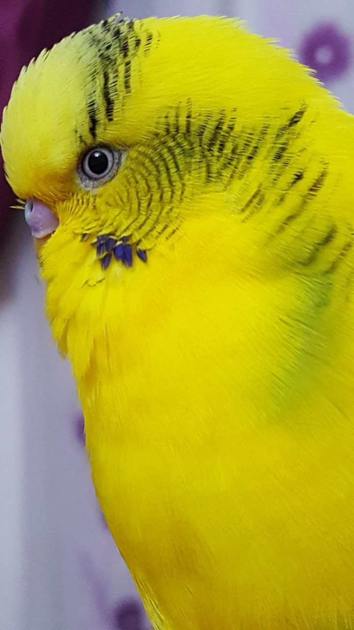 beatiful