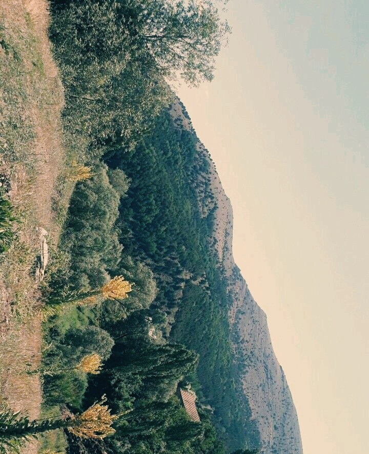 Yozgatim