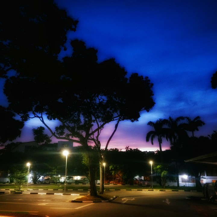 Evening