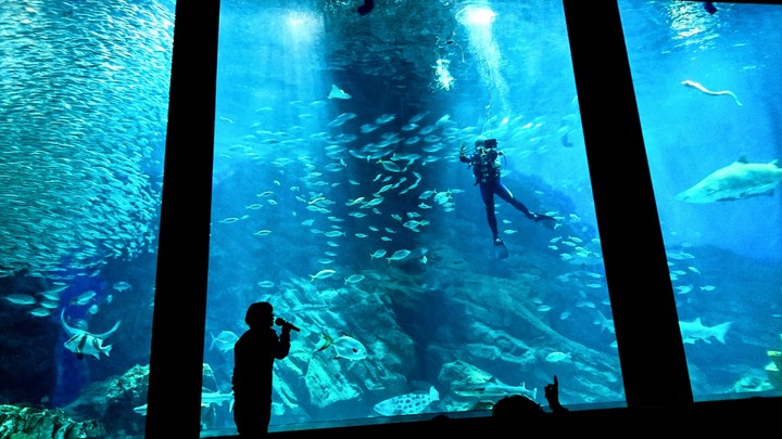 Aquarium