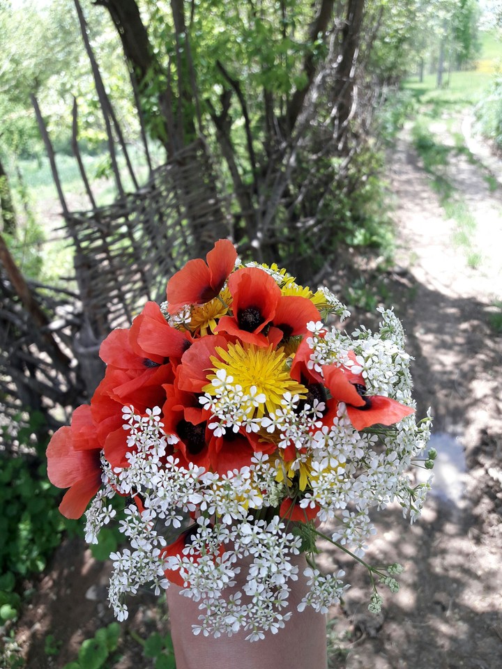 flower