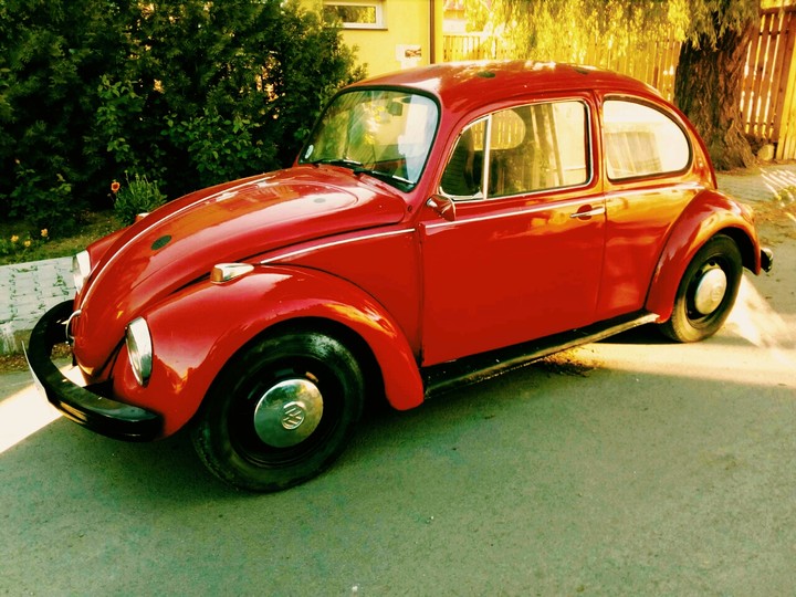 Red Bug