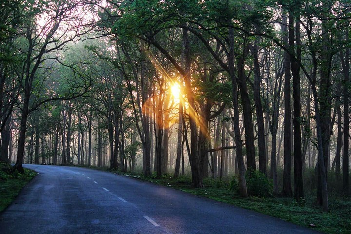 waynad road