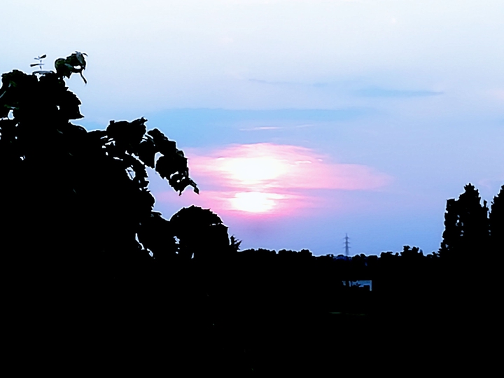 night