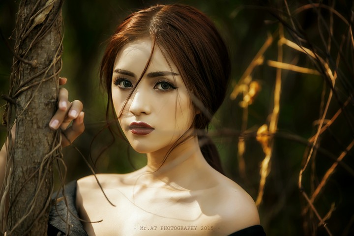 Mai Ánh Quyên Wallpaper