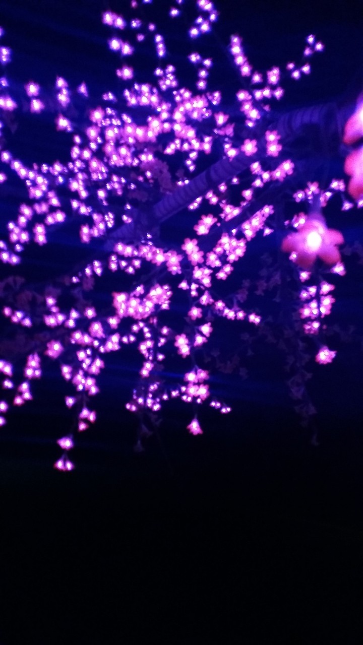 Magic