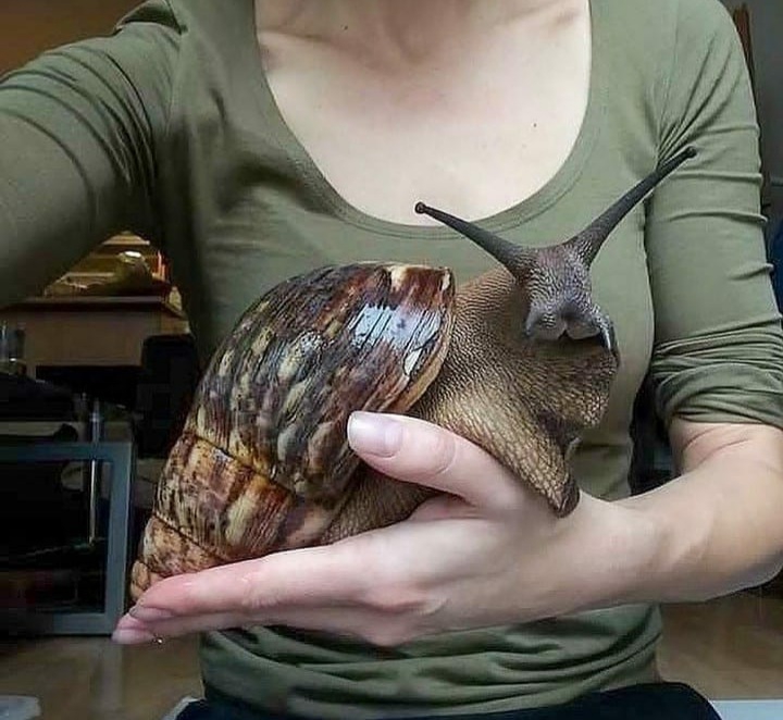 ❤