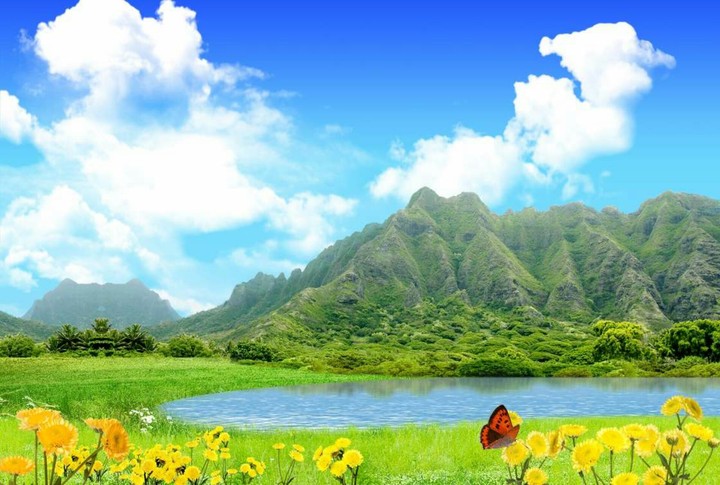 The Beauty Of Nature...☺☺☺⭐⭐♻