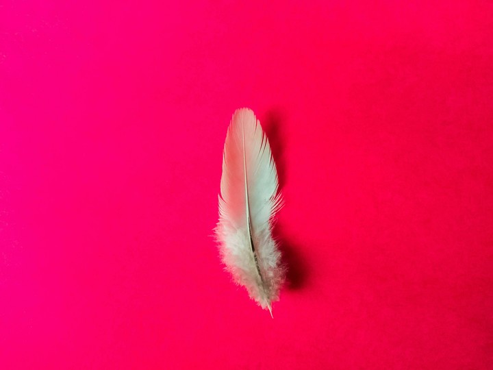 Feather