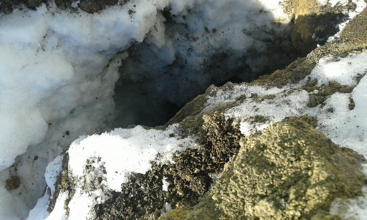 #The CaVe