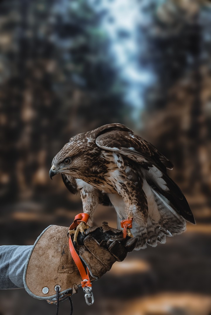 ,