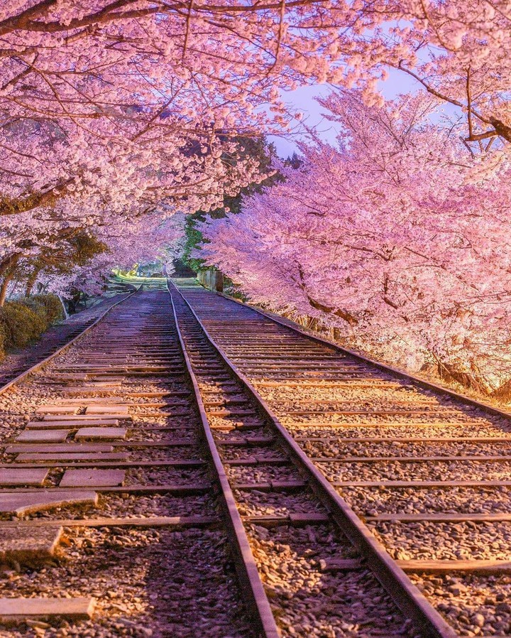 hermoso