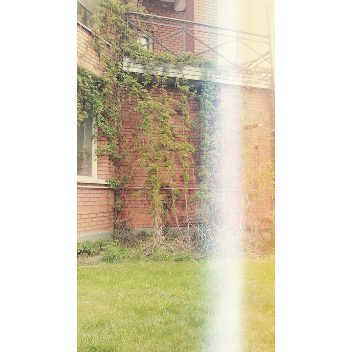 home ...