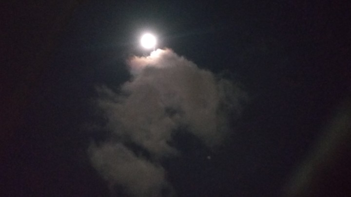 my photography