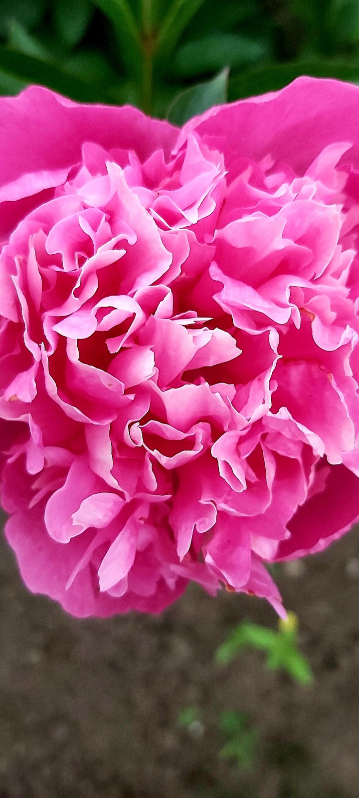 ♡