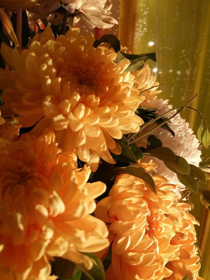 flowers