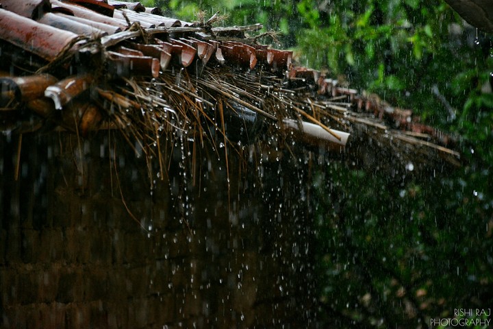 In the rain