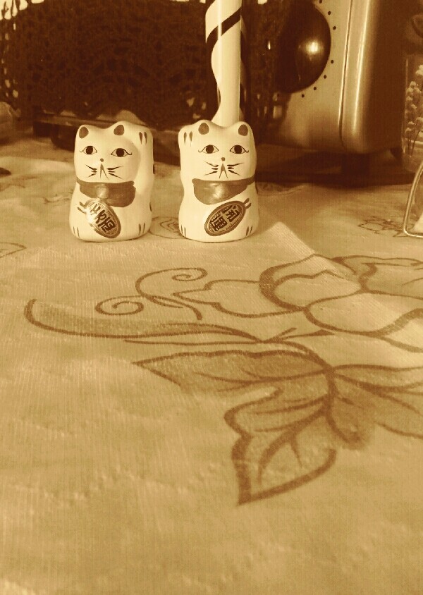 gato da sorte
