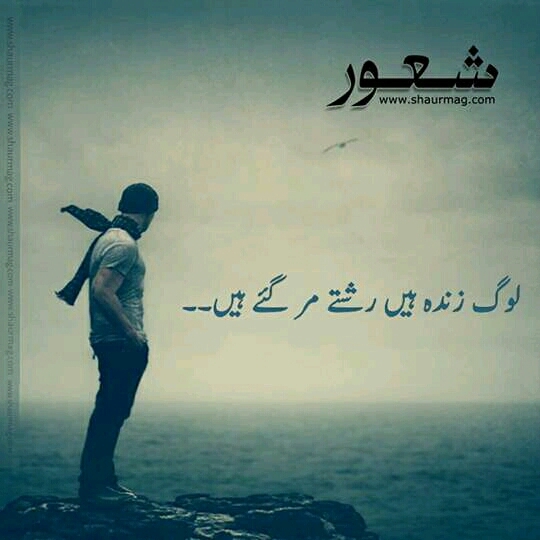 Shaur