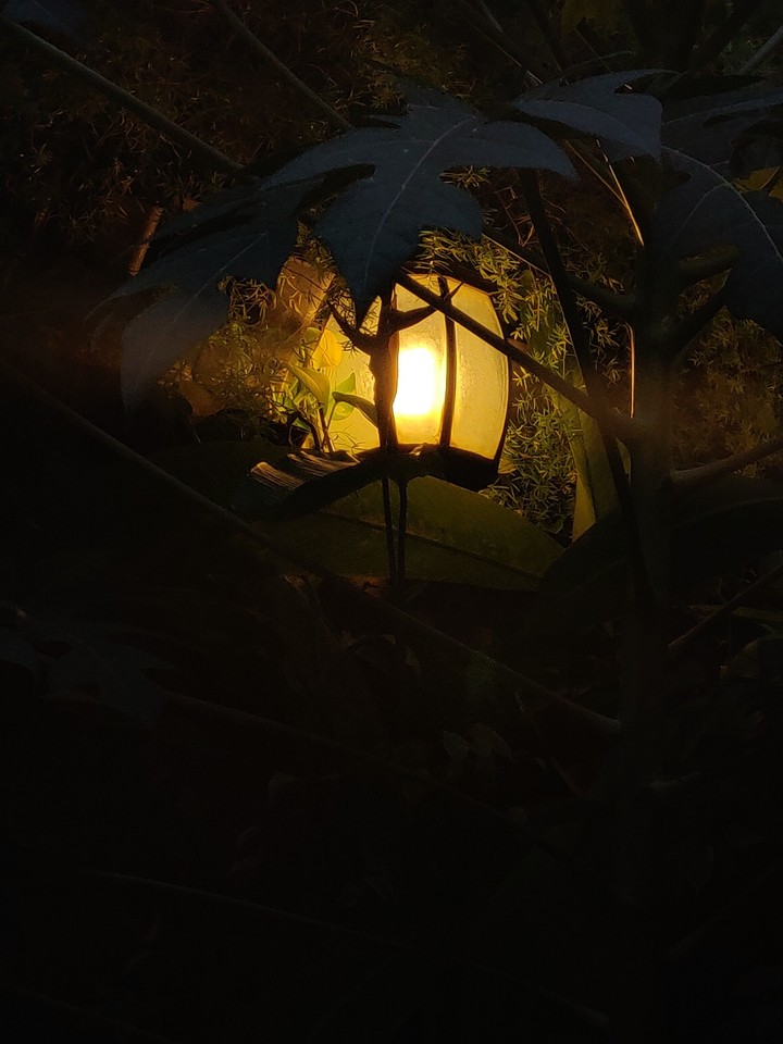 light