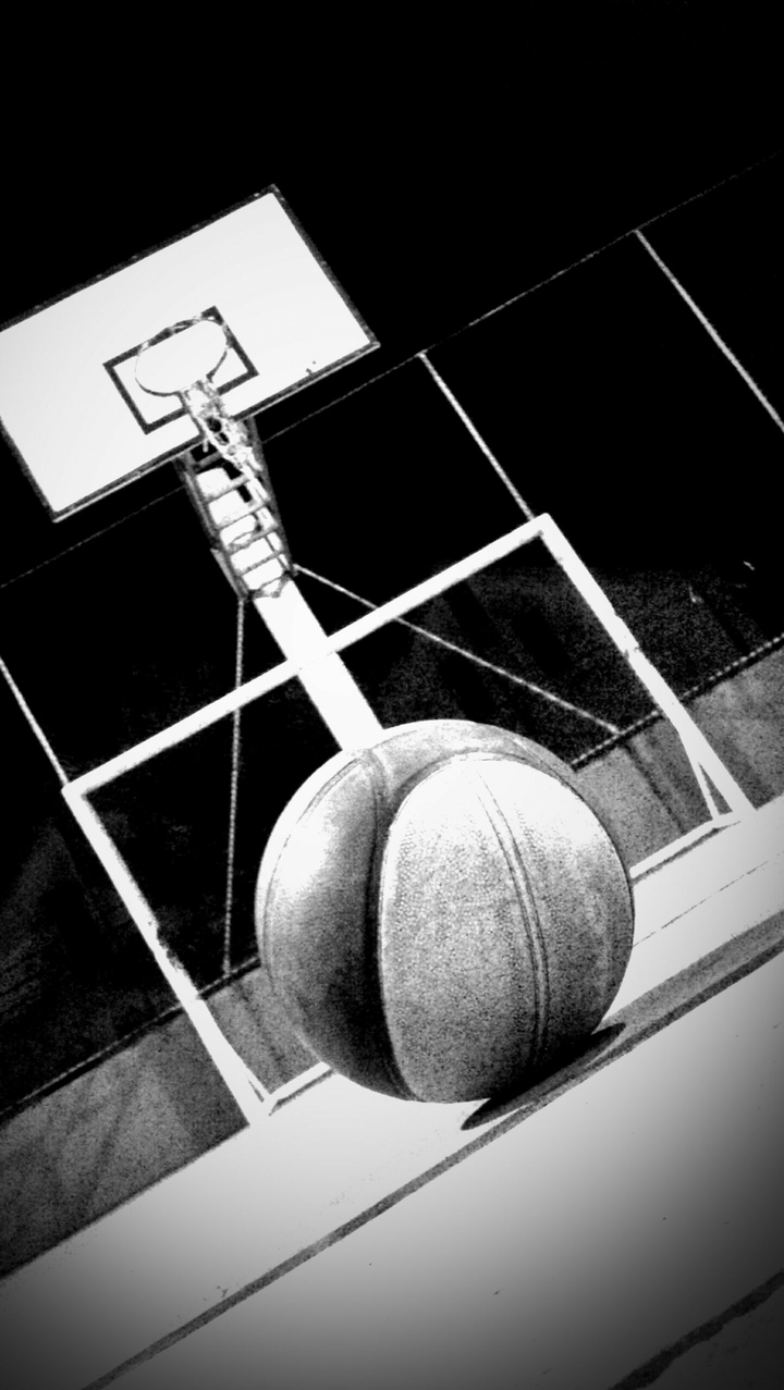 Basquetebol