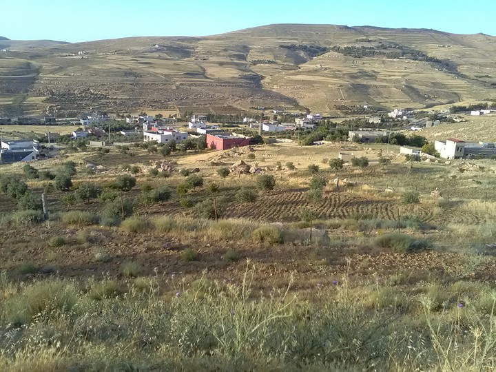 wonderful view