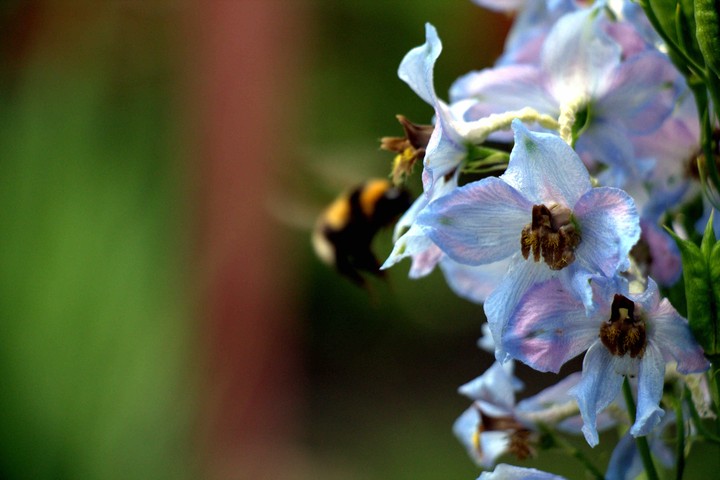 in flight