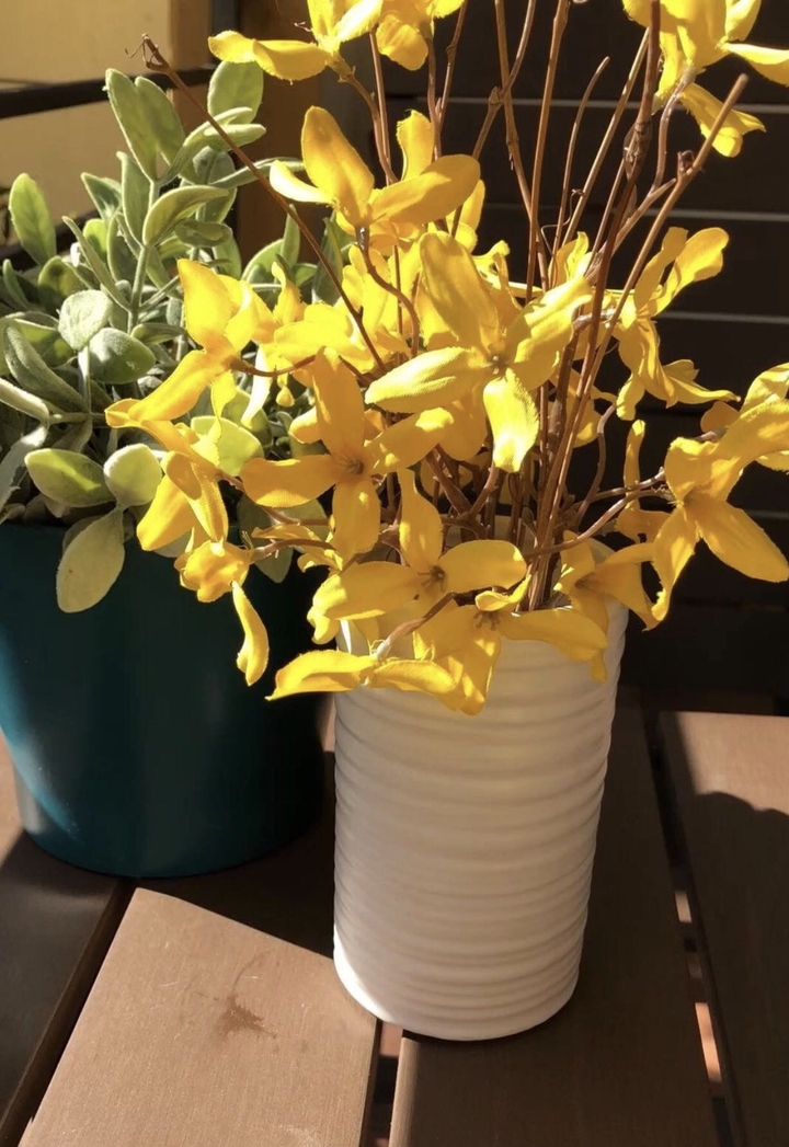 yellow flowers