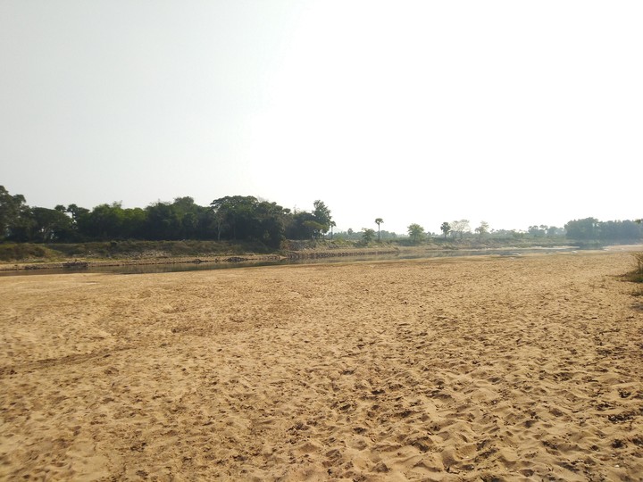 Nature view shot on Asus Zenfone max pro M1