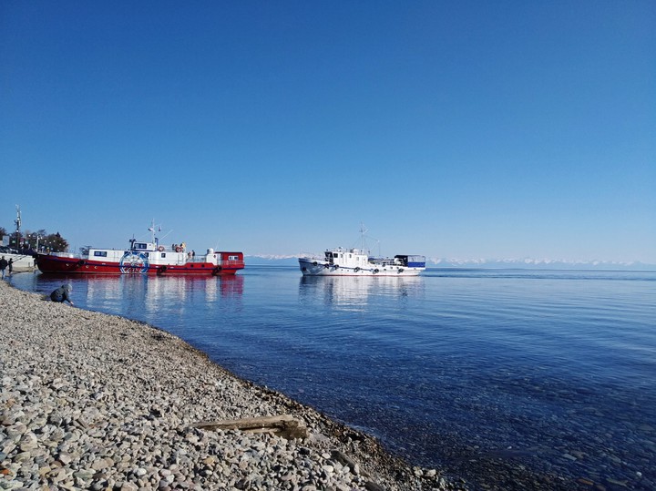 Baikal and sheep