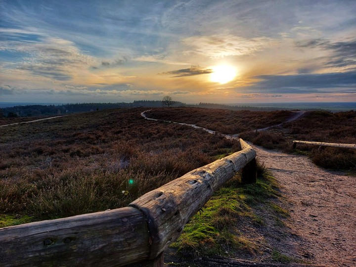Heath Landscape
