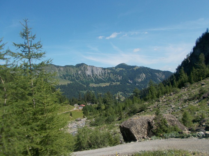 Nature