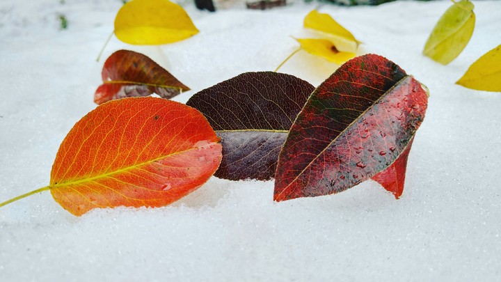 winter or autumn?