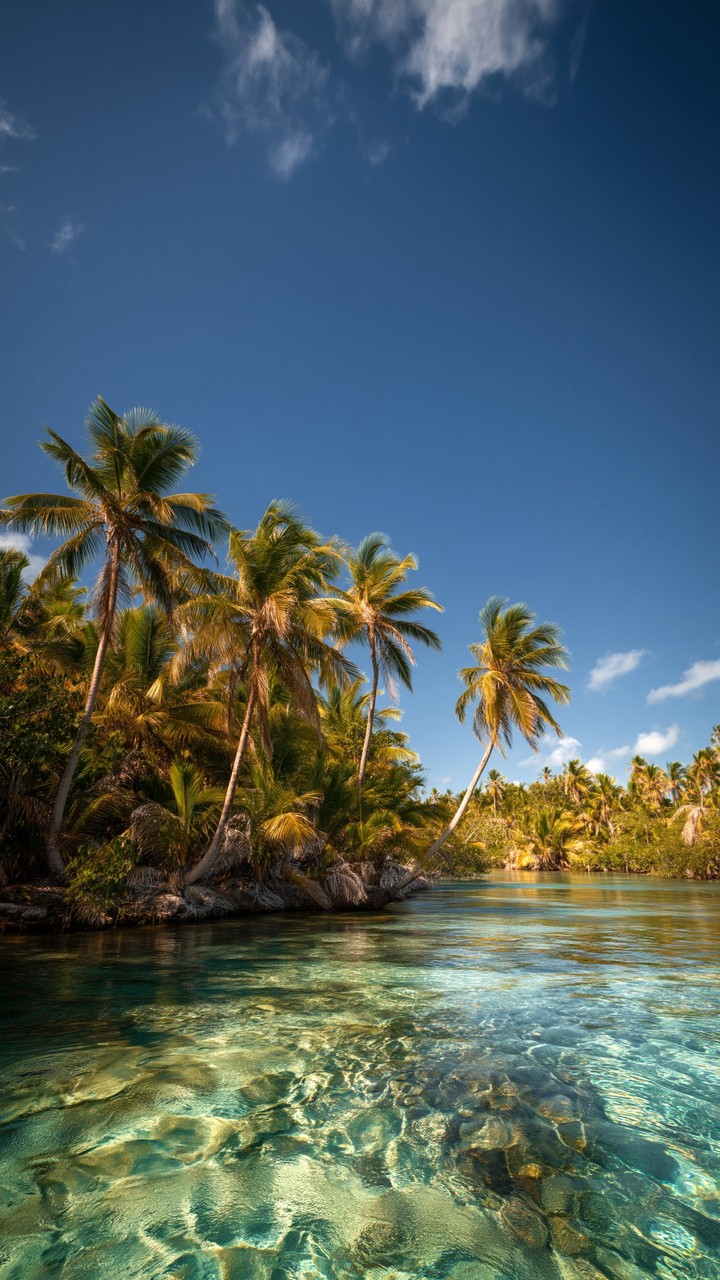 fonds d'écran blue, tropics