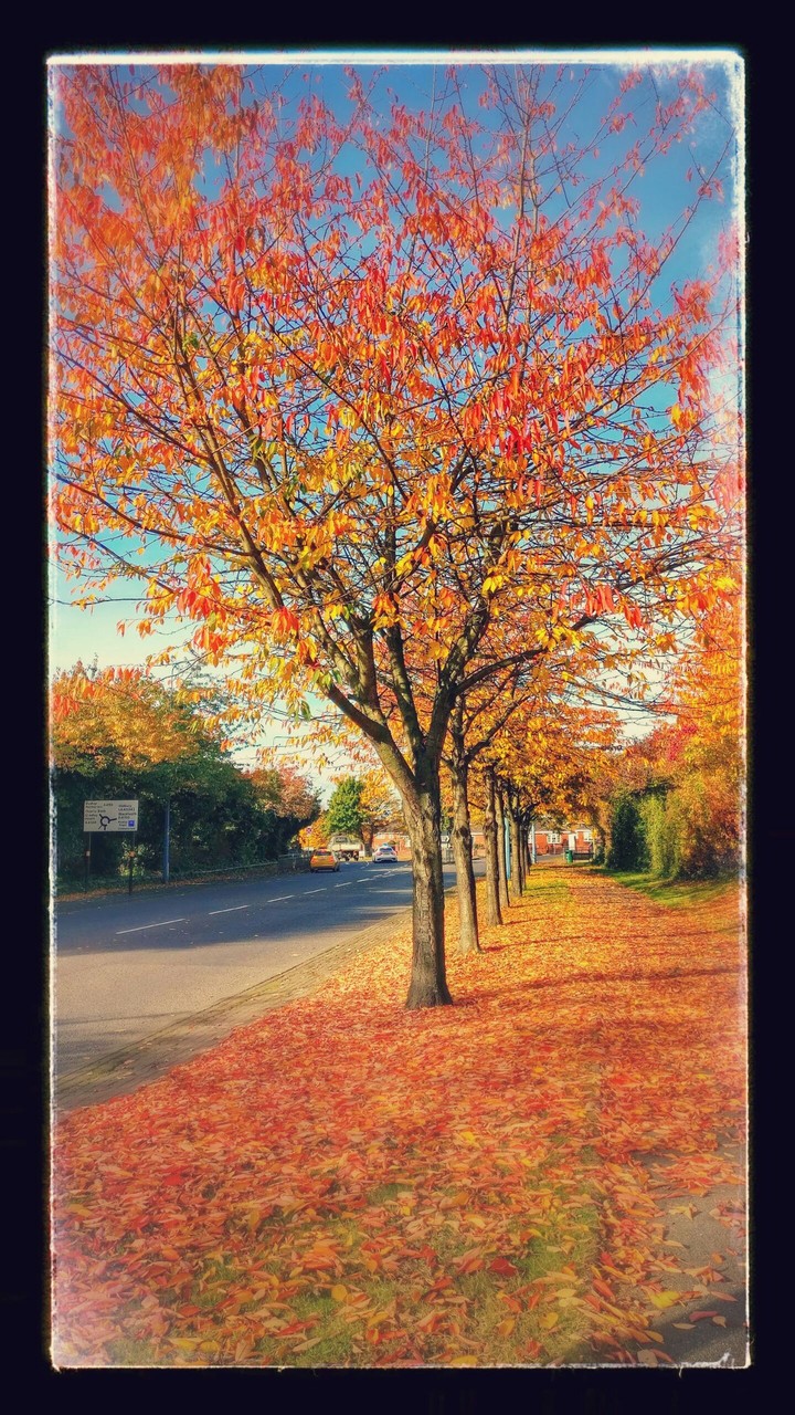 Winter 2 Season