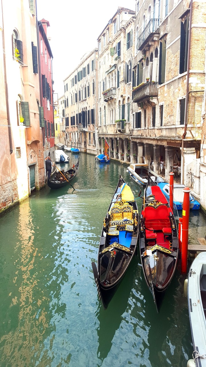 Venezia.