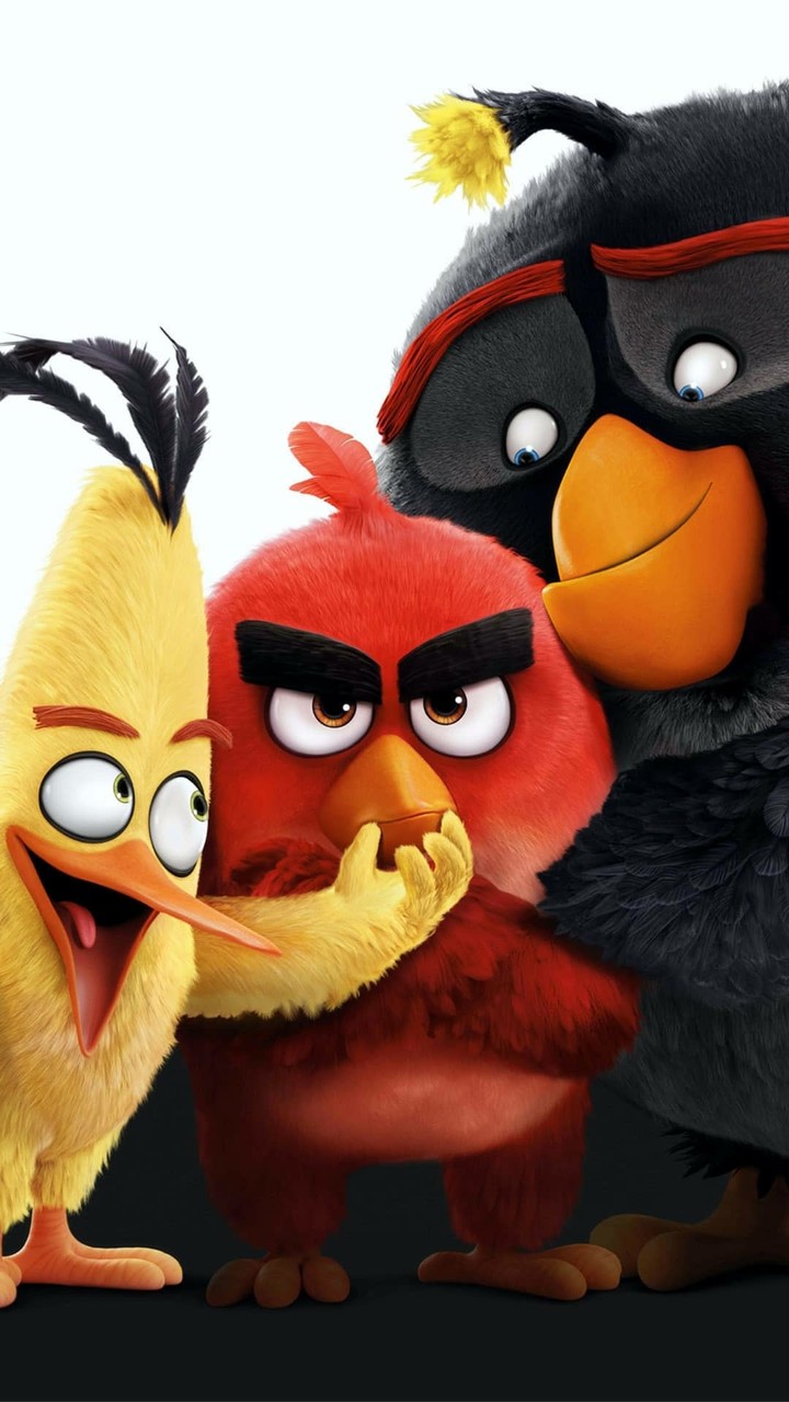 Angry birds