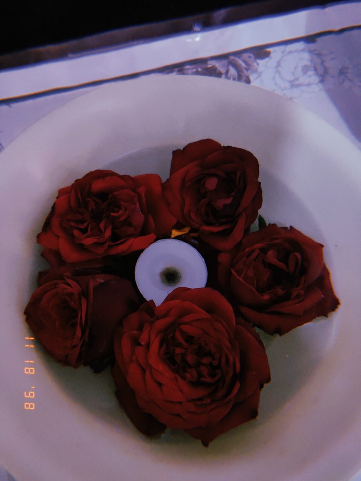 Rose Flower Wallpaper