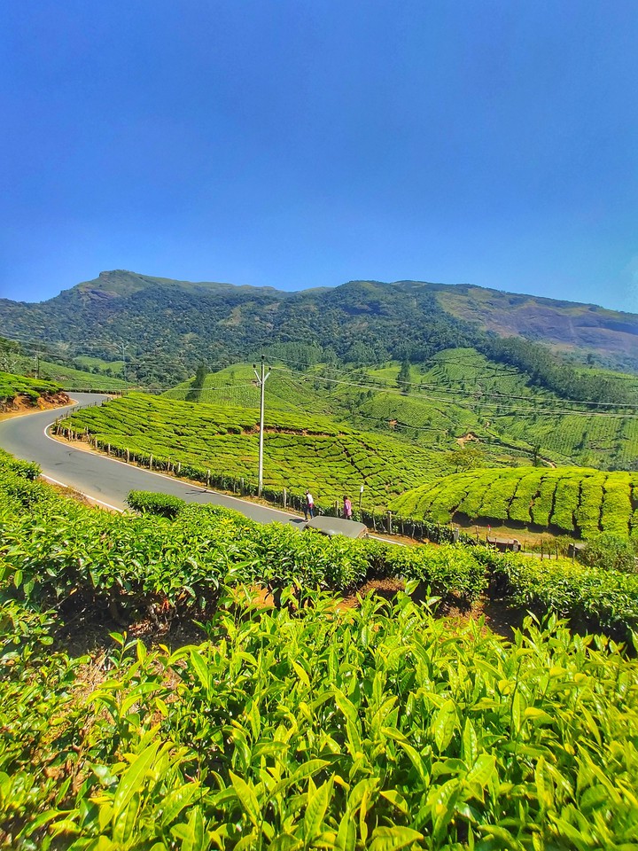 Munnar | Kerala