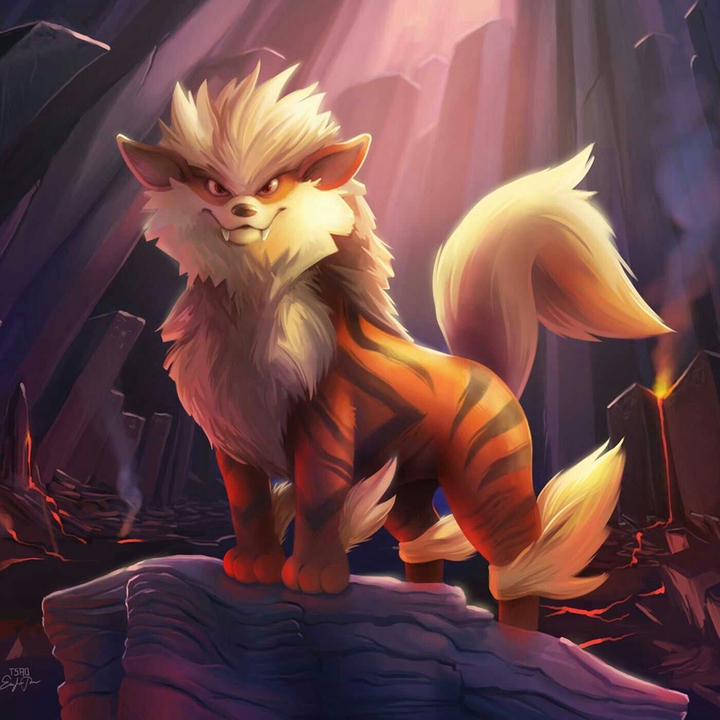 pokemon