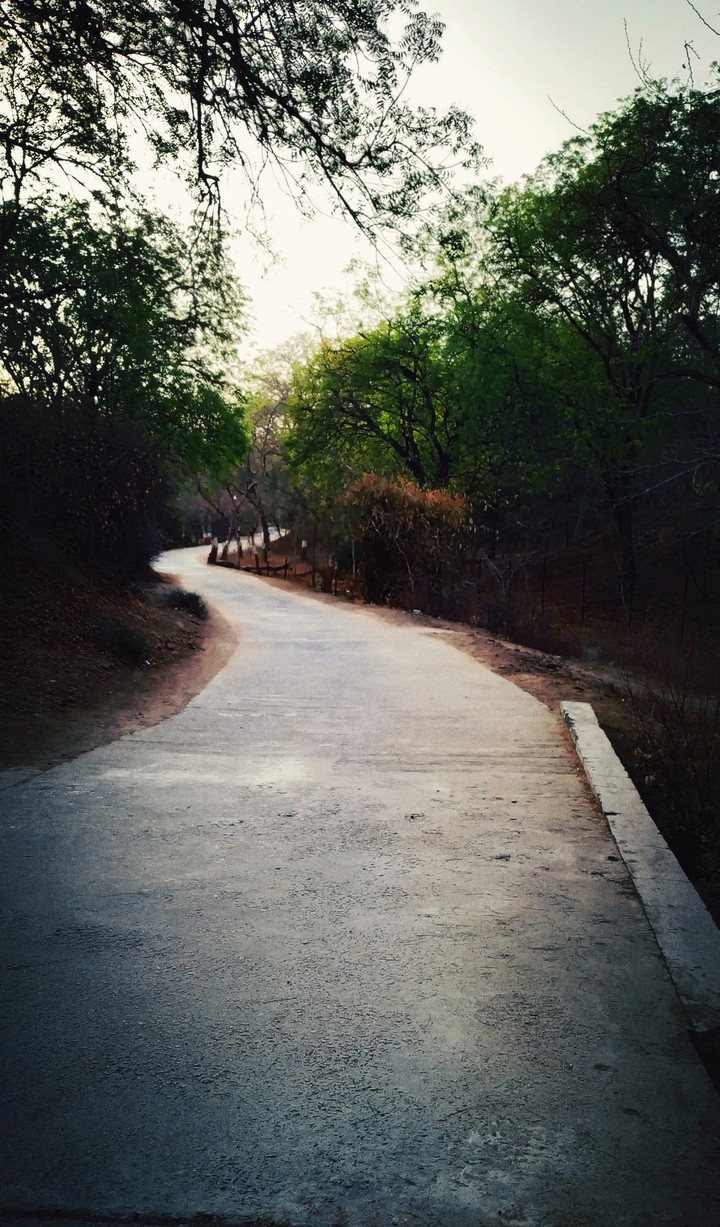 Snake path