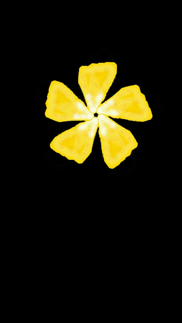 Artistic flowers 328