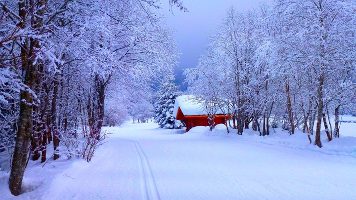 winter