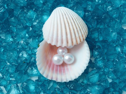 pearl, Shell wallpapers