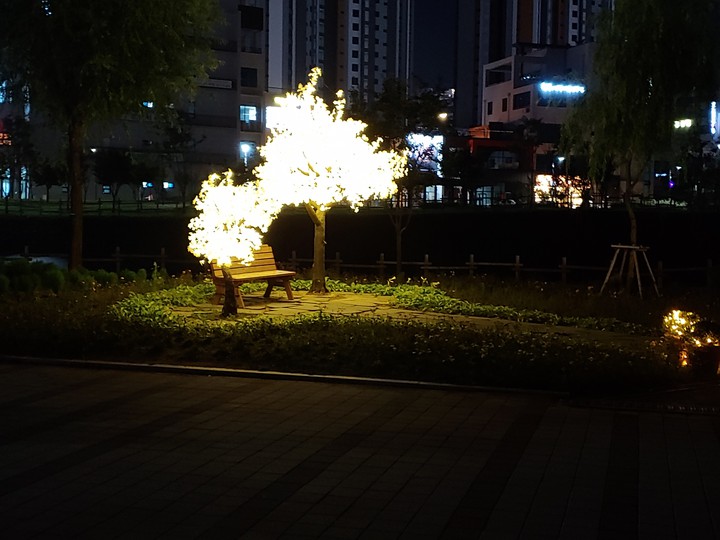 light tree