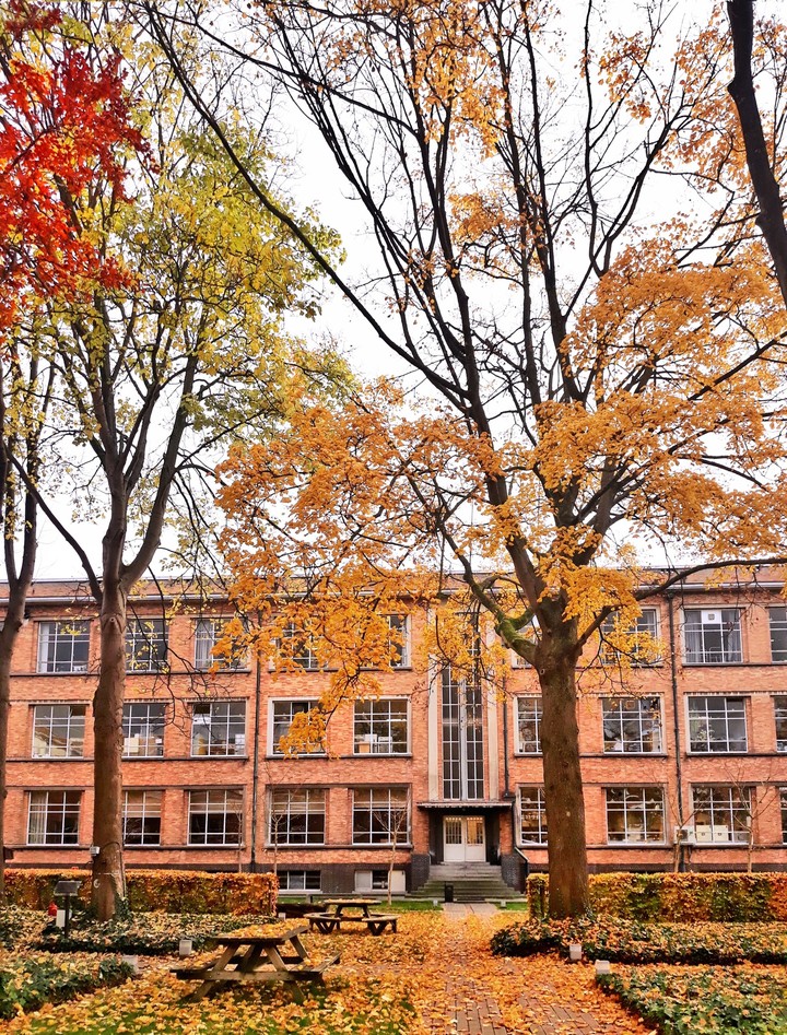 autumn in school