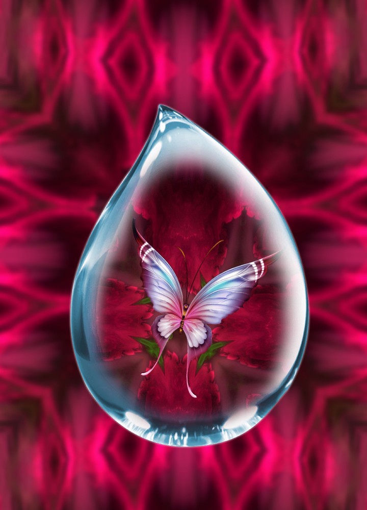 Schmetterling...