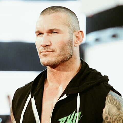 wwe randy the viper