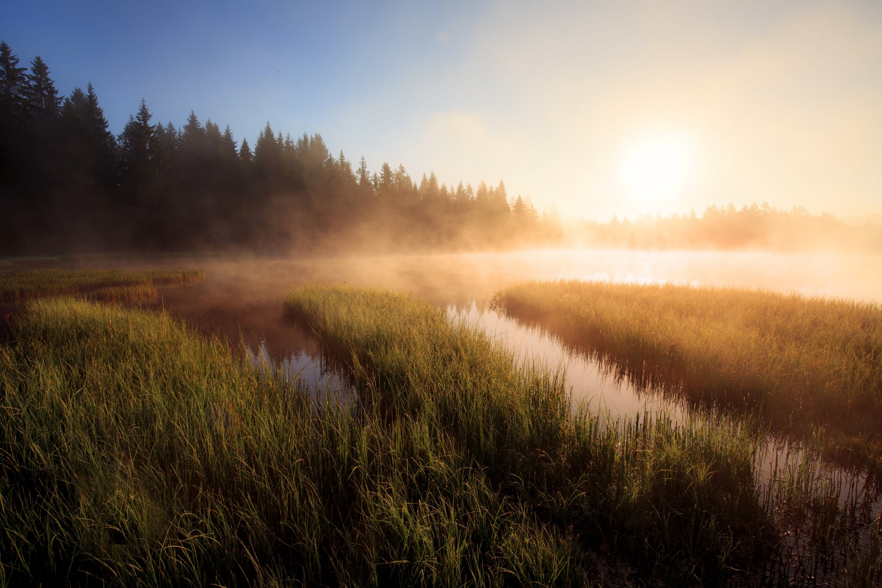 reflection, fog Hintergrundbilder