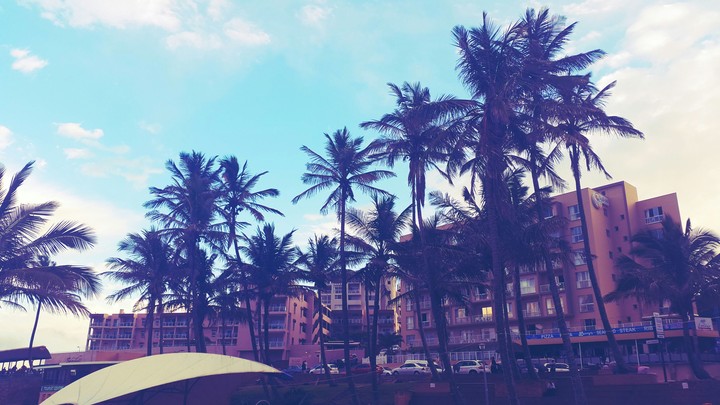 Beach Life